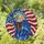 Bald Eagle American Flag Edge-to-Edge Mosaic - Independence Day Home Decor Gift for Veterans Stained Glass Suncatcher - 1