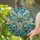 Butterfly Teardrop Jewel Gold Filigree Pearl Botanical - Home Decor Gift Stained Glass Suncatcher - 2