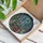 Ancient Books Potion Bottles Magic Orb Enchanted City - Fantasy Home Decor Gift Stained Glass Suncatcher - 3
