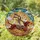 Corgi Riding Dachshund Leaping Dogs - Window Home Decor Housewarming Gift for Dog Lover Stained Glass Suncatcher - 1