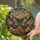 Moth Butterfly Wings Floral Tendrils Leaves Flowers Light Refractions - Home Decor Gift Stained Glass Suncatcher - 2