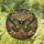 Moth Butterfly Wings Floral Tendrils Leaves Flowers Light Refractions - Home Decor Gift Stained Glass Suncatcher - 1