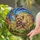 Yorkshire Terrier Dog Leaping Outdoor Scene - Dog Lover Home Decor Gift Stained Glass Suncatcher - 2