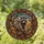 Raccoon Autumn Leaves Tree Branch Stained Glass - Wildlife Lover Home Decor Gift Stained Glass Suncatcher - 1