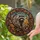 Raccoon Autumn Leaves Tree Branch Stained Glass - Wildlife Lover Home Decor Gift Stained Glass Suncatcher - 2