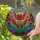 Upward Facing Tulip Flower Stained Glass Mosaic Edge-to-Edge Home Decor Gift for Plant Lover Stained Glass Suncatcher - 2
