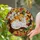 Fluffy White Cat Golden Eyes Autumn Leaves Flowers Berries Branch - Home Decor for Cat Lovers Stained Glass Suncatcher - 2
