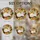 Fluffy White Cat Golden Eyes Autumn Leaves Flowers Berries Branch - Home Decor for Cat Lovers Stained Glass Suncatcher - 4