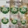 Edelweiss Star Flower Mountain Peaks Golden Sun - Nature Lover Home Decor Gift Stained Glass Suncatcher - 4