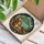 Chubby Squirrel Cardinal Umbrella Autumn Leaves - Wildlife Home Decor Gift Stained Glass Suncatcher - 3