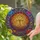 Tree of Life Floral Swirling Leaves Organic Shapes Filigree Mosaic - Home Decor Gift Stained Glass Suncatcher - 2