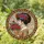 Graceful Woman Floral Headpiece Rose Bouquet Gown Gold Filigree Mosaic - Home Decor Gift Stained Glass Suncatcher - 1