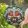 European Robins Bird Nest Eggs, Green Leaves, Slender Branches Wildlife Home Decor Gift Stained Glass Suncatcher - 2