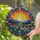Radiant Sun Mountain Wildflower Layered Mountains Landscape - Home Decor Gift for Nature Lover Stained Glass Suncatcher - 2