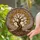 Ancient Tree Full Moon Glowing Leaves - Nature Lover Home Decor Gift Stained Glass Suncatcher - 2