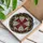Pattee Cross Shield Jewel Lead Lines Glowing Translucent - Home Decor Gift Stained Glass Suncatcher - 3