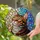 Luminous Yellow-Green Eyes Tiffany Glass Tabby Cat - Home Decor Gift for Cat Lover Stained Glass Suncatcher - 2