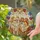 Fluffy Pomeranian Dogs Botanical Landscape - Home Decor Gift for Dog Lovers Stained Glass Suncatcher - 2