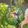 Hummingbird Bell Flowers Foliage - Garden Home Decor Gift for Wildlife Lover Stained Glass Suncatcher - 2