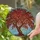 Vibrant Stained Glass Tree Colorful Leaves Aqua Sky Mosaic - Indoor Home Decor Gift Stained Glass Suncatcher - 2
