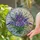 Stained Glass Lavender Bouquet Flower Mosaic - Home Decor Gift for Gardeners Stained Glass Suncatcher - 2
