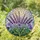 Lavender Bouquet Purple Blue Flowers Green Leaves Mosaic - Ethereal Home Decor Gift Stained Glass Suncatcher - 1