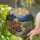 Mountain Sunset Wilderness Hiking Trail Backpack Boots Wildflowers - Outdoor Lover Gift Stained Glass Suncatcher - 2