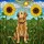 Golden Retriever Sunflowers Summer Landscape Home Decor Gift for Dog Lover Stained Glass Suncatcher - 5