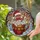 Gingerbread Man Santa Hat Mug Candy Cane Winter Holiday Scene - Christmas Home Decor Stained Glass Suncatcher - 2