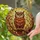 Glowing Stained Glass Owl Perched Branch - Wildlife Lover Home Decor Gift Stained Glass Suncatcher - 2