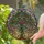 Ornate Mardi Gras Tree Stained Glass Art - Tiffany Inspired Jewel Tone Festival Decor Stained Glass Suncatcher - 2