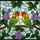 Highly Detailed Tiffany Style Stained Glass Lovebirds Custom Couple Purple Flowers Green Leaves Stained Glass Suncatcher - 5