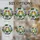 Highly Detailed Tiffany Style Stained Glass Lovebirds Custom Couple Purple Flowers Green Leaves Stained Glass Suncatcher - 4