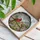 Red Male Female Cardinal Pair & Cherry Blossom - Translucent Tiffany Style Spring Garden Art Stained Glass Suncatcher - 3