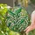 Lily of the Valley Tiffany Stained Glass Floral Art with Emerald Green Mosaic Leaves Stained Glass Suncatcher - 2