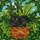 Black Cat Stained Glass Tiffany Mosaic - Woven Basket Detailed Garden Foliage Art Stained Glass Suncatcher - 5