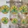 Potted Cactus Succulent Sunflower Tiffany Style Stained Glass Art - Desert Flora Home Decor Stained Glass Suncatcher - 4