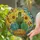 Potted Cactus Succulent Sunflower Tiffany Style Stained Glass Art - Desert Flora Home Decor Stained Glass Suncatcher - 2