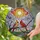 Vibrant Cardinals Cherry Blossoms Radiant Sun - Tiffany Stained Glass Mosaic Home Decor Stained Glass Suncatcher - 2