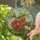 Ripe Red Strawberry Cluster Stained Glass Art - Green Leaf Blossoms Tiffany Style Garden Stained Glass Suncatcher - 2
