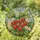 Ripe Red Strawberry Cluster Stained Glass Art - Green Leaf Blossoms Tiffany Style Garden Stained Glass Suncatcher - 1