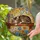 Sleeping Tabby Cat Colorful Books Wildflowers Butterflies Tiffany Glass Stained Glass Suncatcher - 2