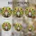 Festive Gnome with Patched Hat Sunflowers Tiffany Stained Glass Mosaic Sun Drenched Decor Stained Glass Suncatcher - 4