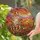 Tabby Cat Poppy Flowers Sunset Mountain Landscape - Stained Glass Mosaic Art Stained Glass Suncatcher - 2
