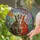 Tiffany Style Stained Glass Two Cats Daisy Flowers - Intricate Jewel Tone Cat Lover Gift Stained Glass Suncatcher - 2