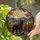 Majestic Black Bear Sky-Gazing Stained Glass Art - Autumn Trees Mountains Sunrays Stained Glass Suncatcher - 2