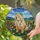 Chow Chow Dog Stained Glass Art Wildflowers Hills – Tiffany Style Jewel Tone Design Stained Glass Suncatcher - 2