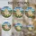 Chow Chow Dog Stained Glass Art Wildflowers Hills – Tiffany Style Jewel Tone Design Stained Glass Suncatcher - 4