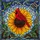 Red Cardinal on Sunflower Stained Glass Art - Colorful Full Frame Tiffany Style Nature Mosaic Stained Glass Suncatcher - 5