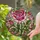 Large Pink Rose Custom Name Stained Glass Art with Bud & Leaves - Personalized Jewel Tone Floral Gift Stained Glass Suncatcher - 2